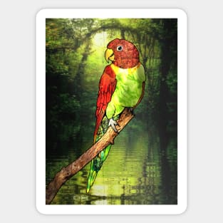 Parrot No:7 Sticker